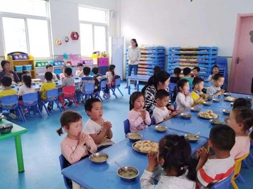 幼兒園餐照引發(fā)家長疑慮 孩子口中的美味與現(xiàn)實的差距